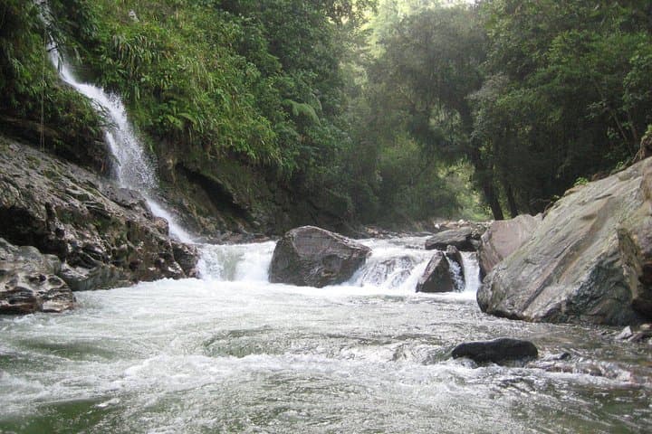 4-Day Lost City Trek to Ciudad Perdida from Santa Marta photo 2