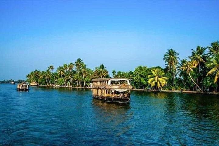 Backwaters of Kerala Houseboat Cruise, Munnar & Periyar — 7-Day Private Tour photo 2