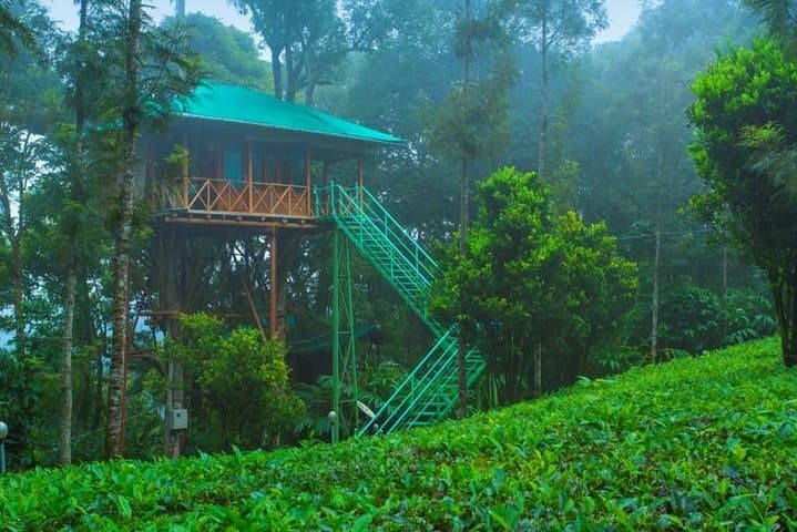 Munnar Treehouse Escape: 2-Night Private Trip from Kochi