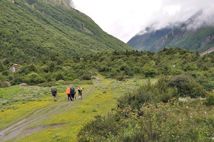 Gosaikunda Short Trek from Kathmandu: 4-Day High-Altitude Lake Hike photo 2