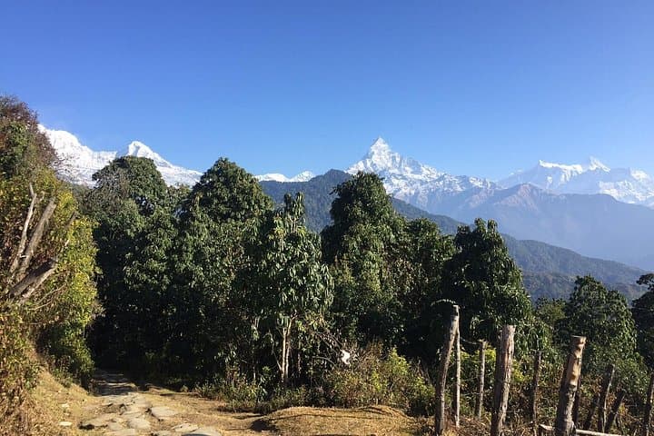 Ghandruk Trek from Pokhara — Family-Friendly 3-Day Annapurna Trek photo 4