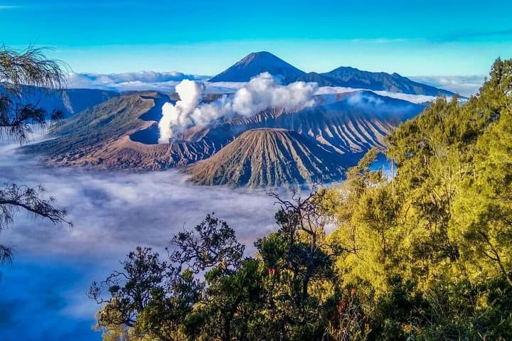 Bromo & Ijen: 2-Day Sunrise and Blue Fire Volcano Adventure from Malang photo 4