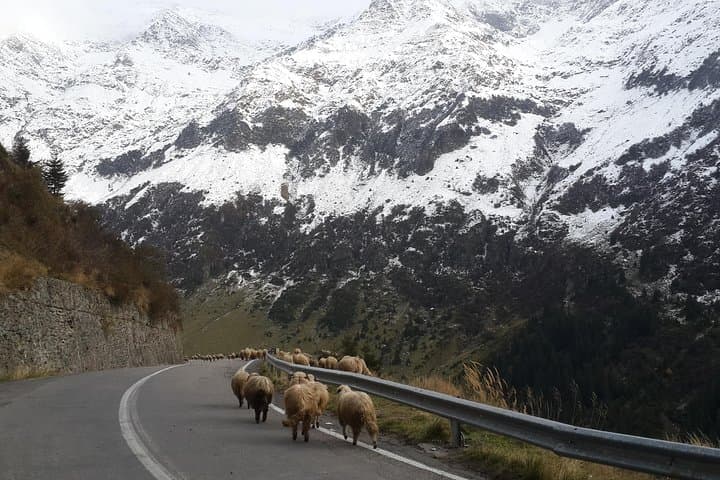 6-Day Private Dracula Tour from Bucharest: Castles, Transfagarasan & Saxon Villages photo 3