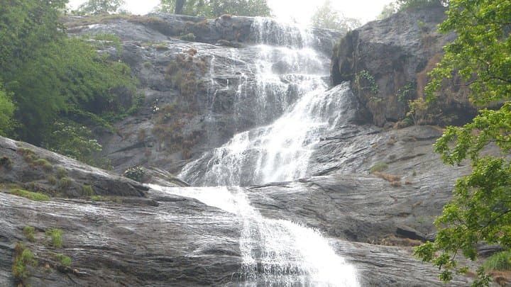 Munnar Overnight from Cochin: Tea Estates, Waterfalls & Echo Point photo 2