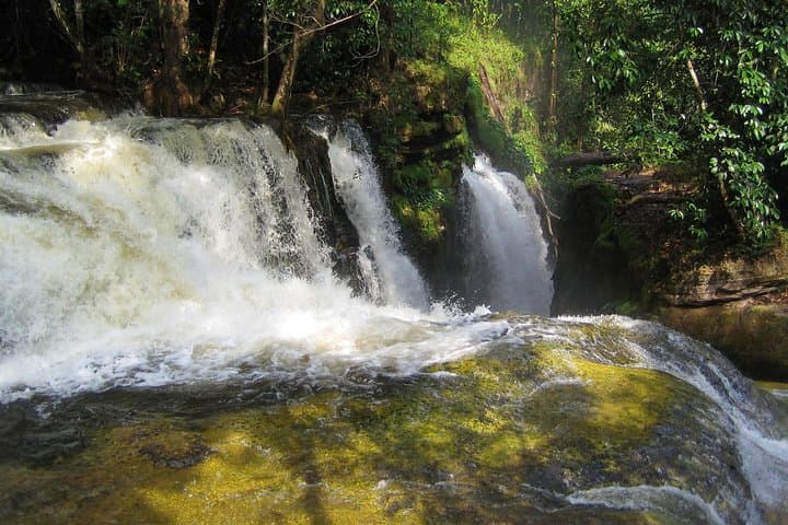 Presidente Figueiredo Waterfalls & Cave Day Trip from Manaus photo 3
