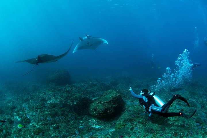 PADI Advanced Open Water Course on Nusa Lembongan — 5 Dives to 30m