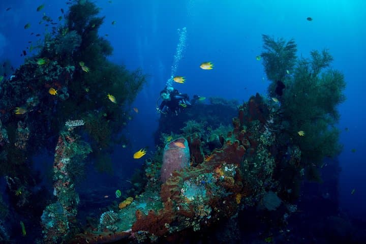 PADI Advanced Open Water Course in Bali — Dive Nusa Lembongan & Tulamben photo 2