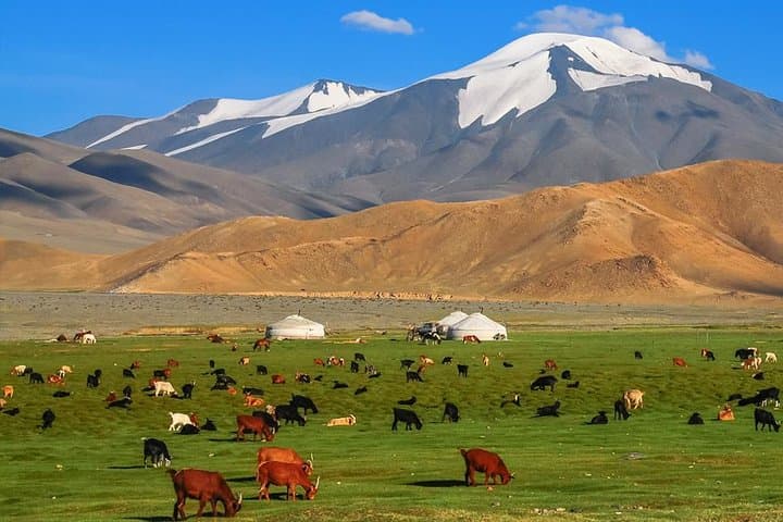 7-day-mongolia-adventure-karakorum-orkhon-gobi-wild-horses