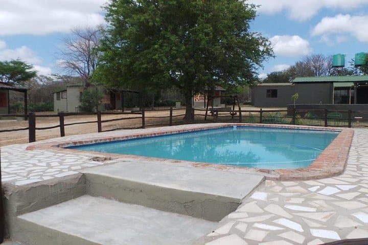 3-Day Kruger Safari from Johannesburg: Masango Lodge, Open Game Viewer & Blyde Canyon photo 4
