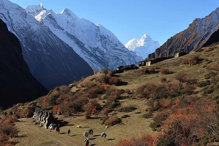 Manaslu Circuit Trek: 14-Day Larkya La Pass & Manaslu Base Camp Adventure photo 2