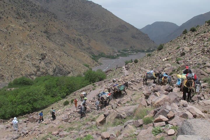 4-Day Toubkal Trek with Local Atlas Guides — Summit North Africa's Highest Peak photo 2