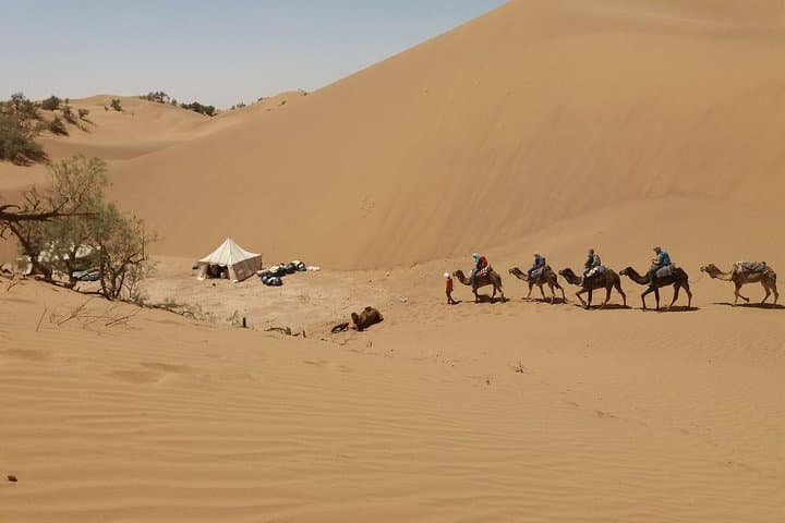 8-Day Camel Trek in Morocco: Marrakech to the Sahara Dunes photo 2