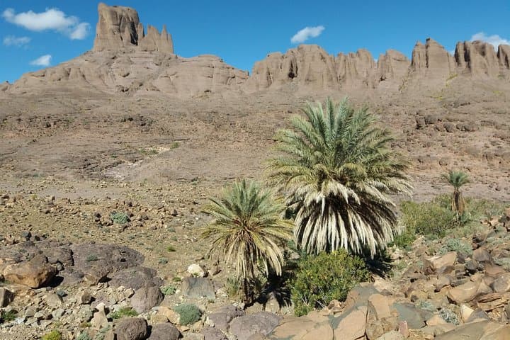 8-Day Jebel Saghro Trek: Berber Camps, Mules & Summit