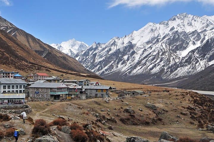Langtang Valley Trek: 8-Day Kyanjin Gompa Trek from Kathmandu