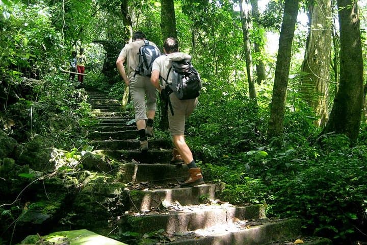 Cuc Phuong National Park Day Trip — Primate Rescue, Ancient Forest & Prehistoric Cave photo 3