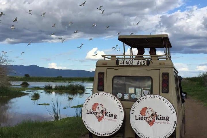 12-Day Luxury Tanzania Honeymoon Safari and Zanzibar: Serengeti, Ngorongoro & Nungwi Beaches photo 2