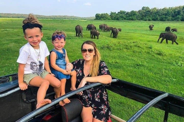 6-Day Sri Lanka Round Tour: Kandy to Mirissa with Yala Safari & Whale Watching (All-Inclusive)