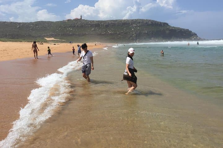 Sydney Northern Beaches & Ku-ring-gai Day Tour — Manly, Palm Beach & Aboriginal Heritage photo 5