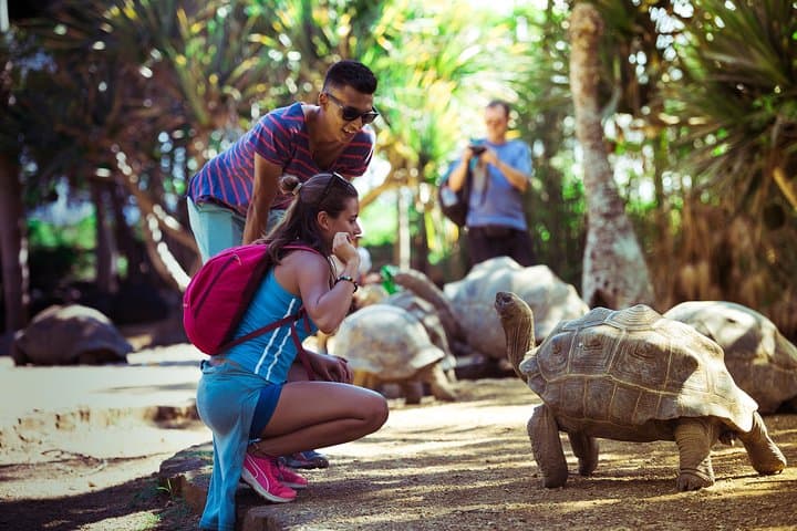 Discovery Tour 35km: Quad Along Gris-Gris Cliffs, Rochester Falls & Crocodile Park (Mauritius) photo 4