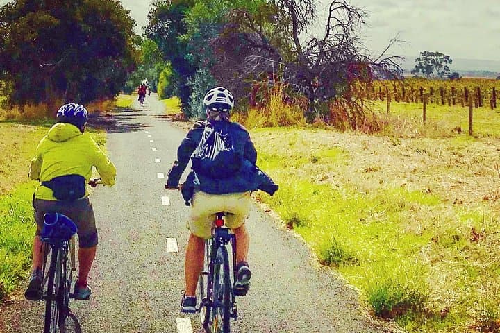 Shiraz Trail Cycling Tour: McLaren Vale Day Trip from Adelaide photo 3