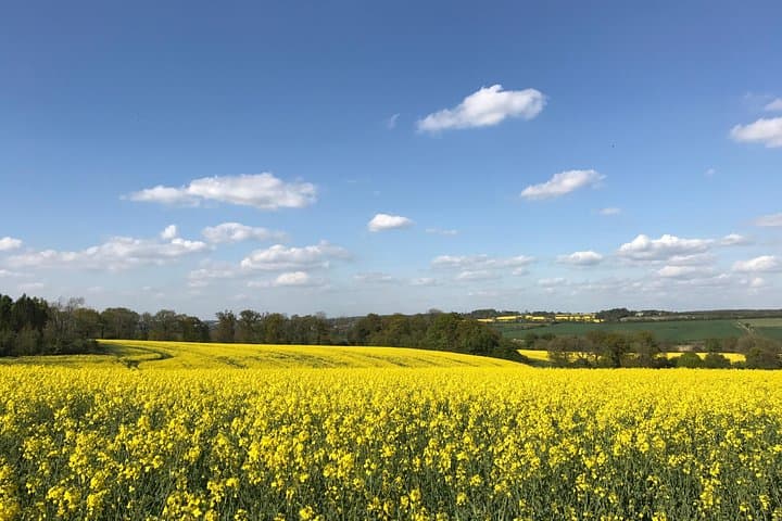 Undiscovered Cotswolds: Full-Day Small-Group Tour from Oxford photo 6