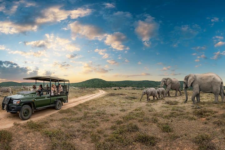 Luxury Kruger Safari and Cape Town: 9-Day Big Five to Table Mountain photo 3