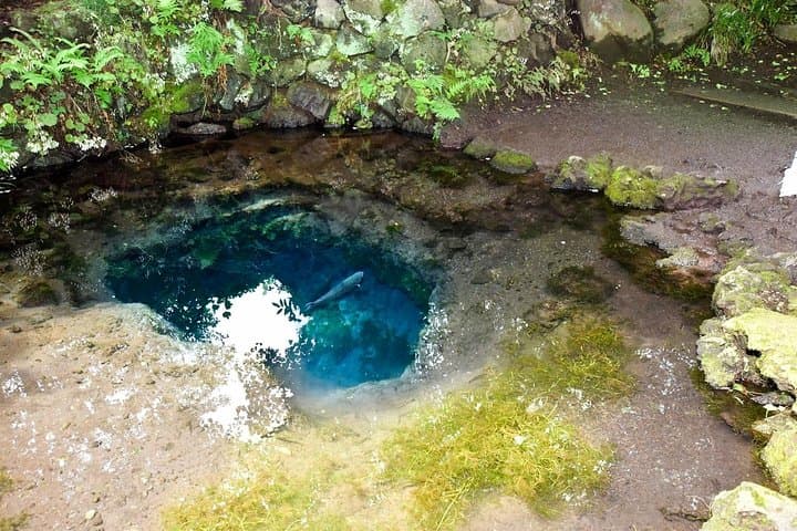 Mt Fuji & Hakone Private Day Tour from Tokyo — Lakes, Springs & Panoramic Views photo 4