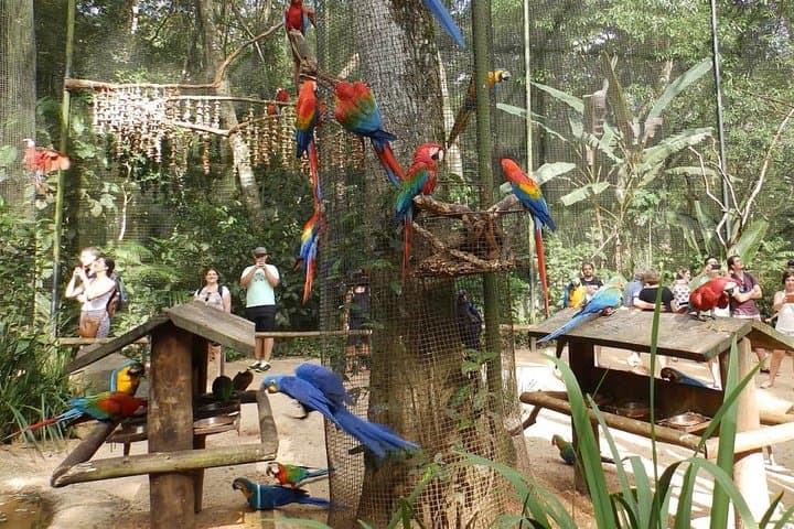 Iguassu Falls: 3-Day Private Tour from Foz do Iguaçu photo 4