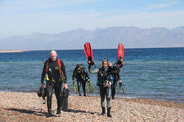 Snorkel Ras Mohammed National Park: Private Day Tour from Sharm el-Sheikh photo 4