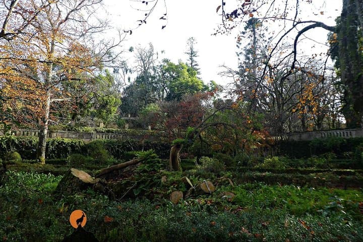 Coimbra Walking Tour: Discover University, River Mondego & Old City photo 4