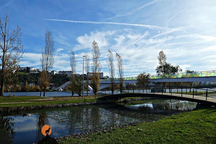 Coimbra Walking Tour: Discover University, River Mondego & Old City photo 3