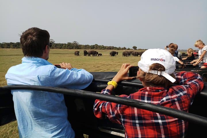 Kaudulla National Park Private Jeep Safari from Habarana — See The Elephant Gathering photo 3