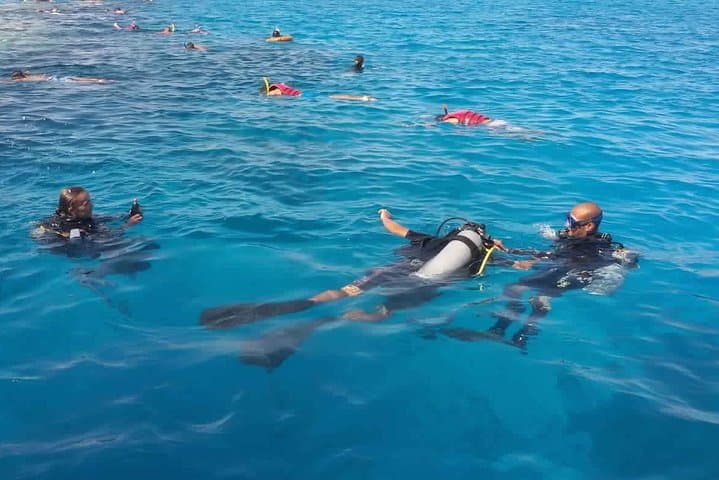 Hurghada Dolphin House & Banana Boat Adventure with Snorkeling and Lunch photo 3