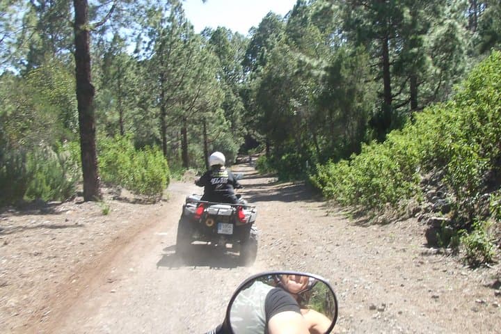 Teide Forest Quad Safari from Santiago del Teide photo 4
