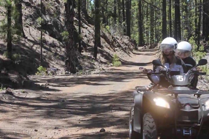 Teide Forest Quad Safari from Santiago del Teide photo 3