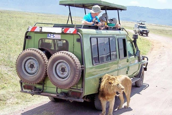 12-Day Kenya Big Five Safari: Samburu to Masai Mara Wildlife Adventure