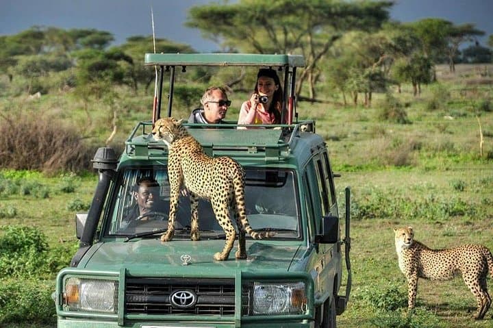 9-Day Kenya & Tanzania Safari: Maasai Mara, Serengeti & Ngorongoro Adventure photo 6