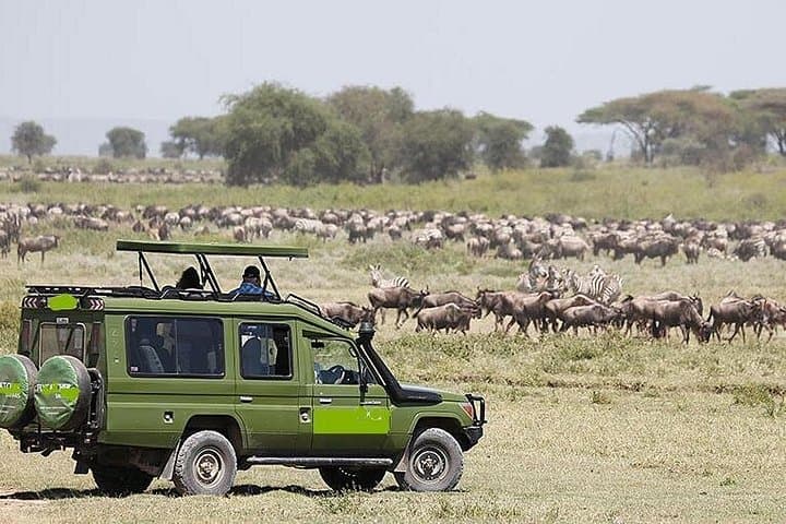 2-Day Camping Safari: Lake Manyara & Ngorongoro Crater from Arusha photo 4