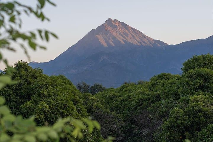 La Campana Ascent from Santiago — Full-Day Hike to 1,920m in La Campana National Park