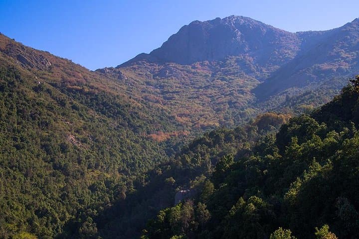 La Campana Ascent from Santiago — Full-Day Hike to 1,920m in La Campana National Park photo 2