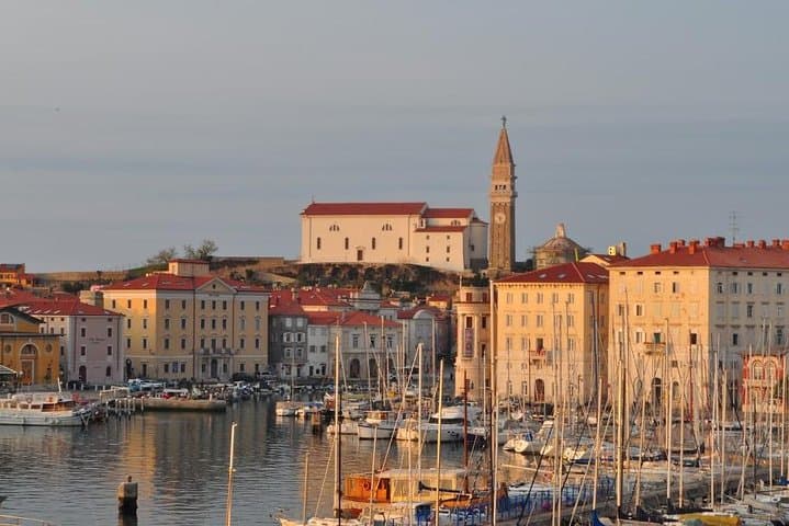 Piran and the Slovenian Coast: Private Half-Day Tour from Trieste photo 6
