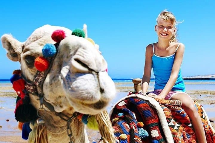 Camel Trekking in Abu Dhabi Desert: 30-Minute Camel Ride & Cultural Experience