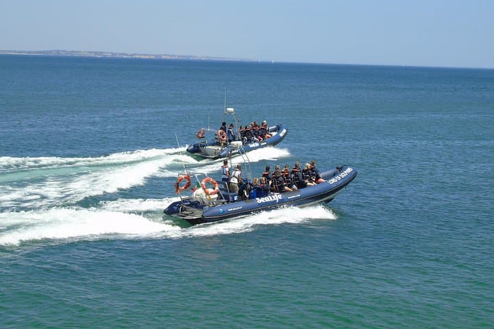 Dolphin Watching from Lagos Marina: Sealife Sea Safari with Marine Biologists photo 3