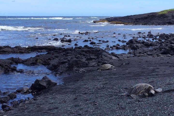 Big Island Circle Explorer from Kona: Volcanoes, Turtles, Coffee & Waipio Overlook photo 4