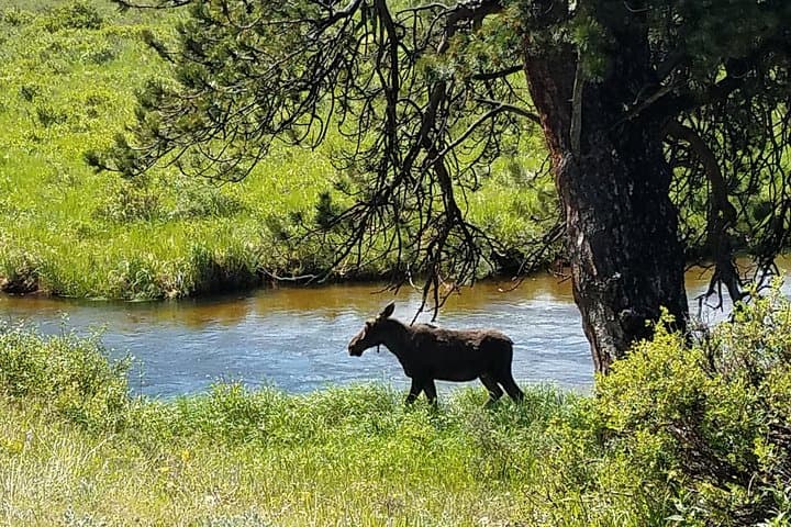 Exploring Rocky Mountain National Park and Estes Park: Winter & Spring Adventure from Denver photo 2