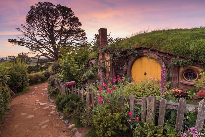 Auckland to Rotorua via Hobbiton: One-Way Small-Group Tour Guide photo 2