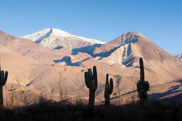 One-Day Cachi & Calchaquí Valleys Tour from Salta — Cuesta Views, High-Altitude Flora and Colonial Towns photo 5