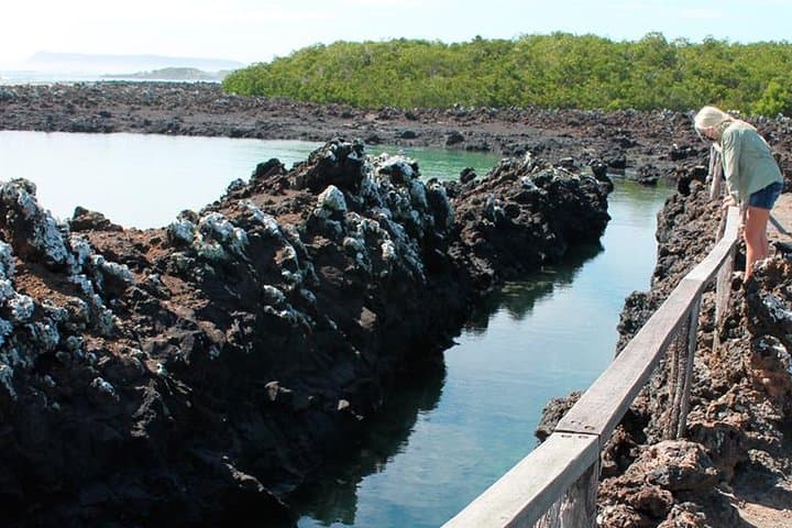 Isabela Island Explorer: 3-Day Galápagos Adventure to Sierra Negra & Tintoreras photo 1