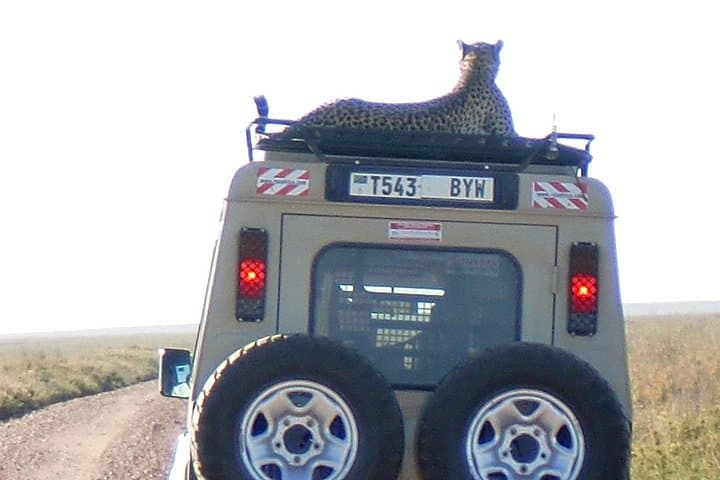 6-Day Camping Safari: Lake Manyara, Ngorongoro & Serengeti National Park