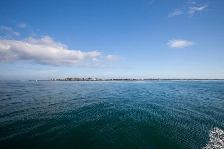 Robben Island Tour & Cape Town City Stops — Nelson Mandela Prison Visit with Transfers photo 4